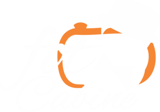 FotCabine